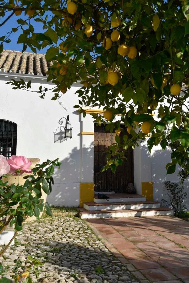 Finca Las Rosas De Santa Ana 빌라마르틴 외부 사진